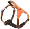 Pet Life 'Geo-prene' 2-in-1 Shock Absorbing Neoprene Padded Reflective Dog Leash and Harness